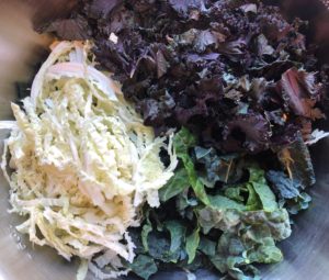 Hearty Kale and Apple Salad with Lemon Dijon Dressing | Heather Carey