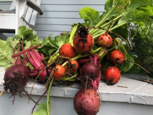 Roasted Beet and White Bean Hummus | Heather Carey