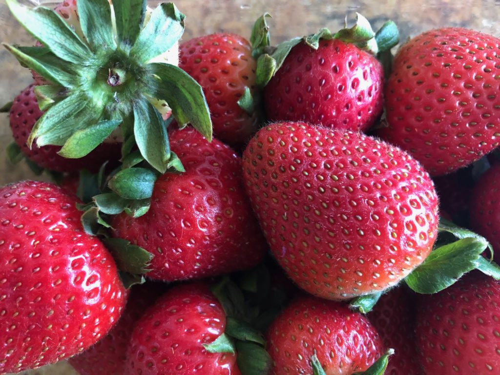 strawberries in season